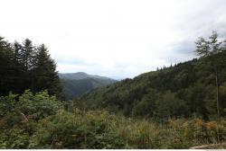 Photo of Mixed Textures